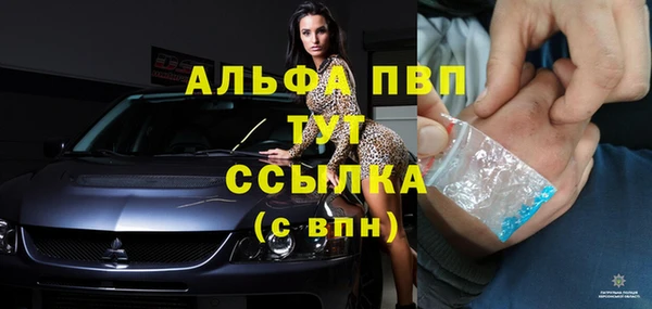 a pvp Богданович