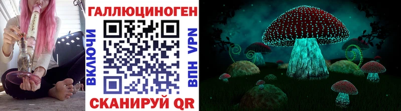 Галлюциногенные грибы GOLDEN TEACHER  сколько стоит  Санкт-Петербург 